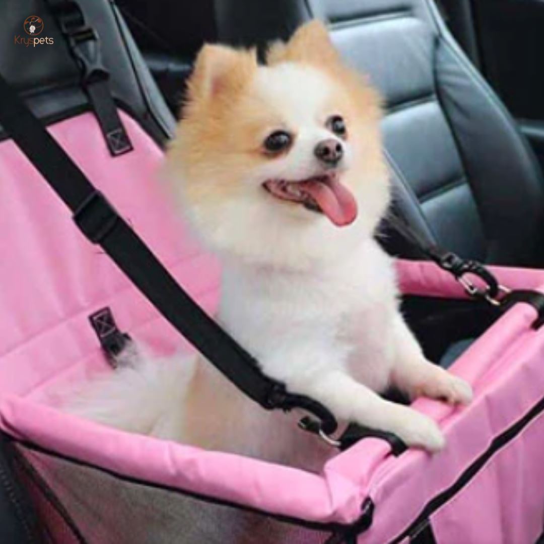 Siège Auto pour chien - SECURIPET™ - Kryspet's