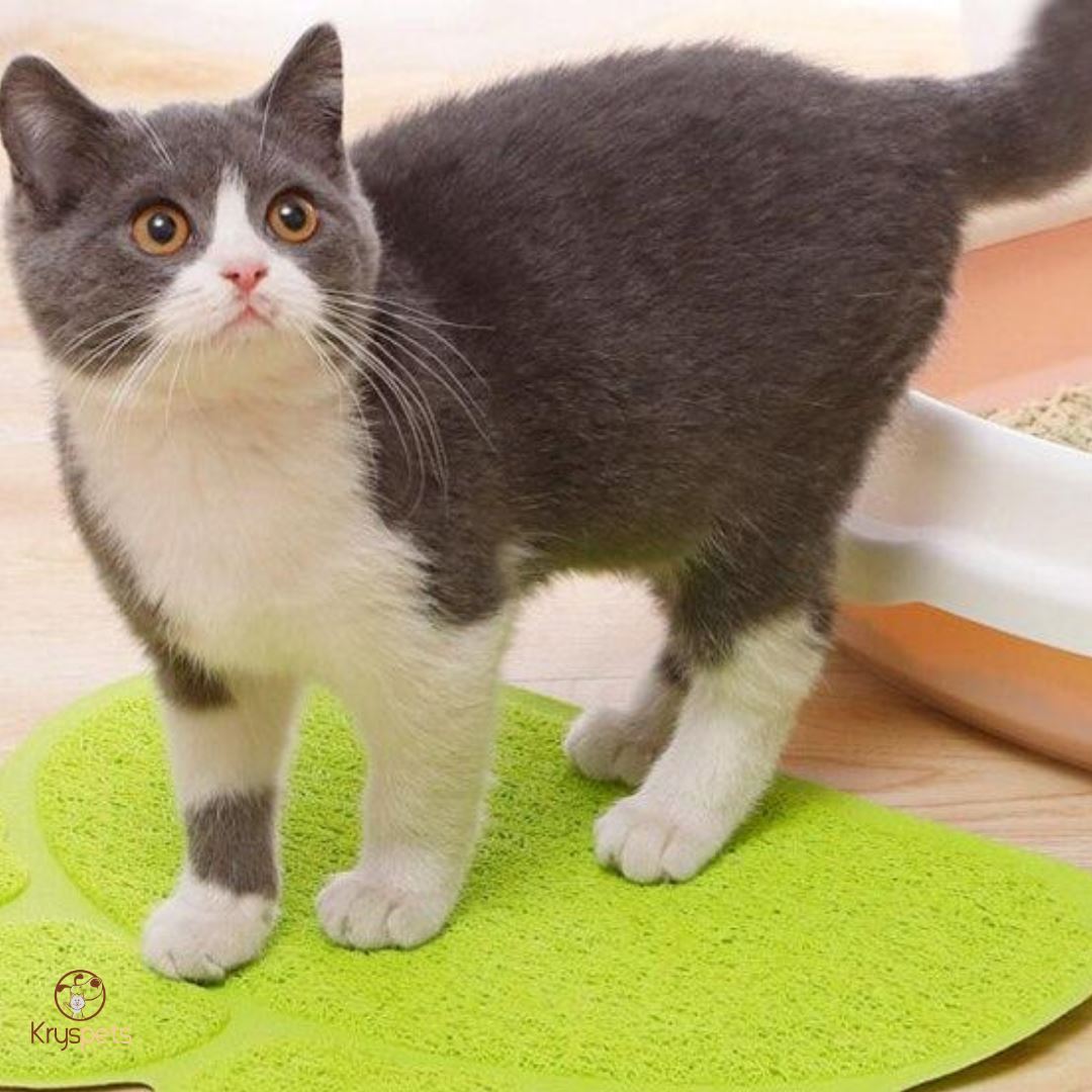 Tapis de litière - TAPEASY™ - Kryspet's
