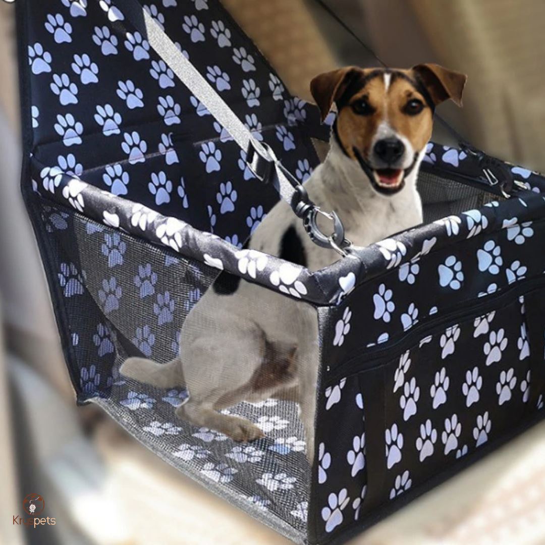Siège Auto pour chien - SECURIPET™ - Kryspet's