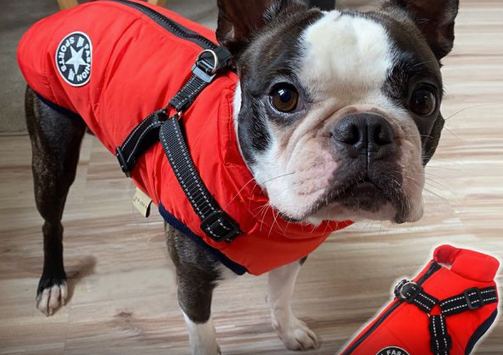 Manteau pour chien - PETSY™ - Kryspet's