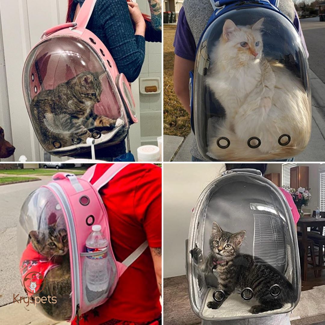 Sac à dos chat - SACADO™