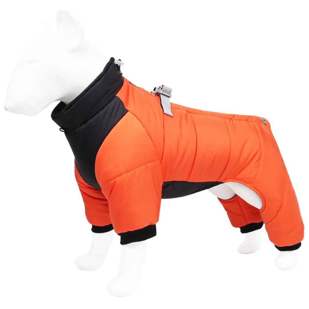 Manteau Chien - CombiDOG™