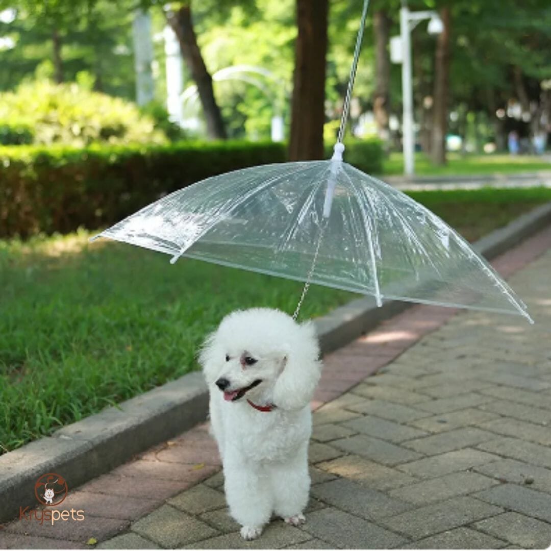 Parapluie pour chien - KrysPLUIE™