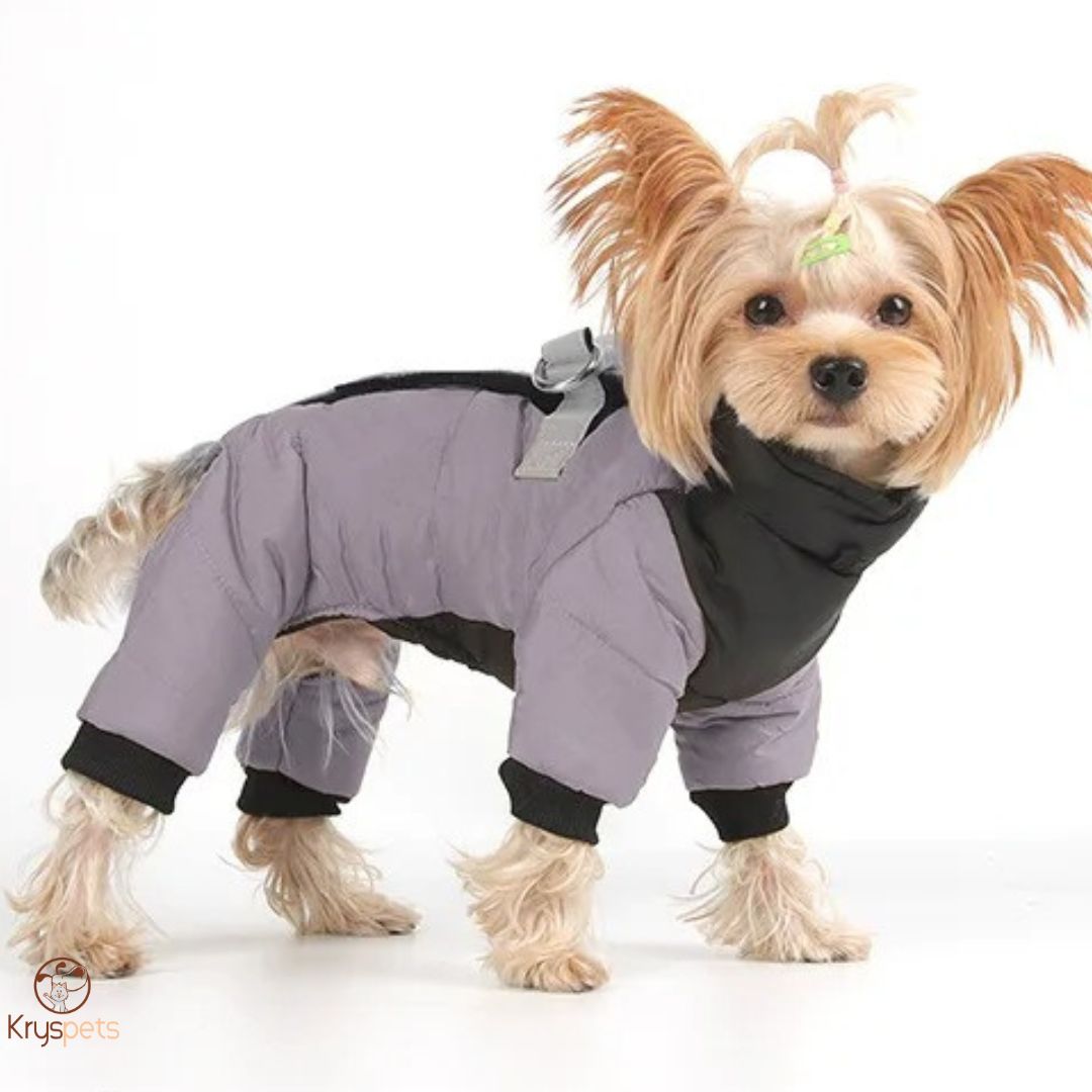 Manteau Chien - CombiDOG™