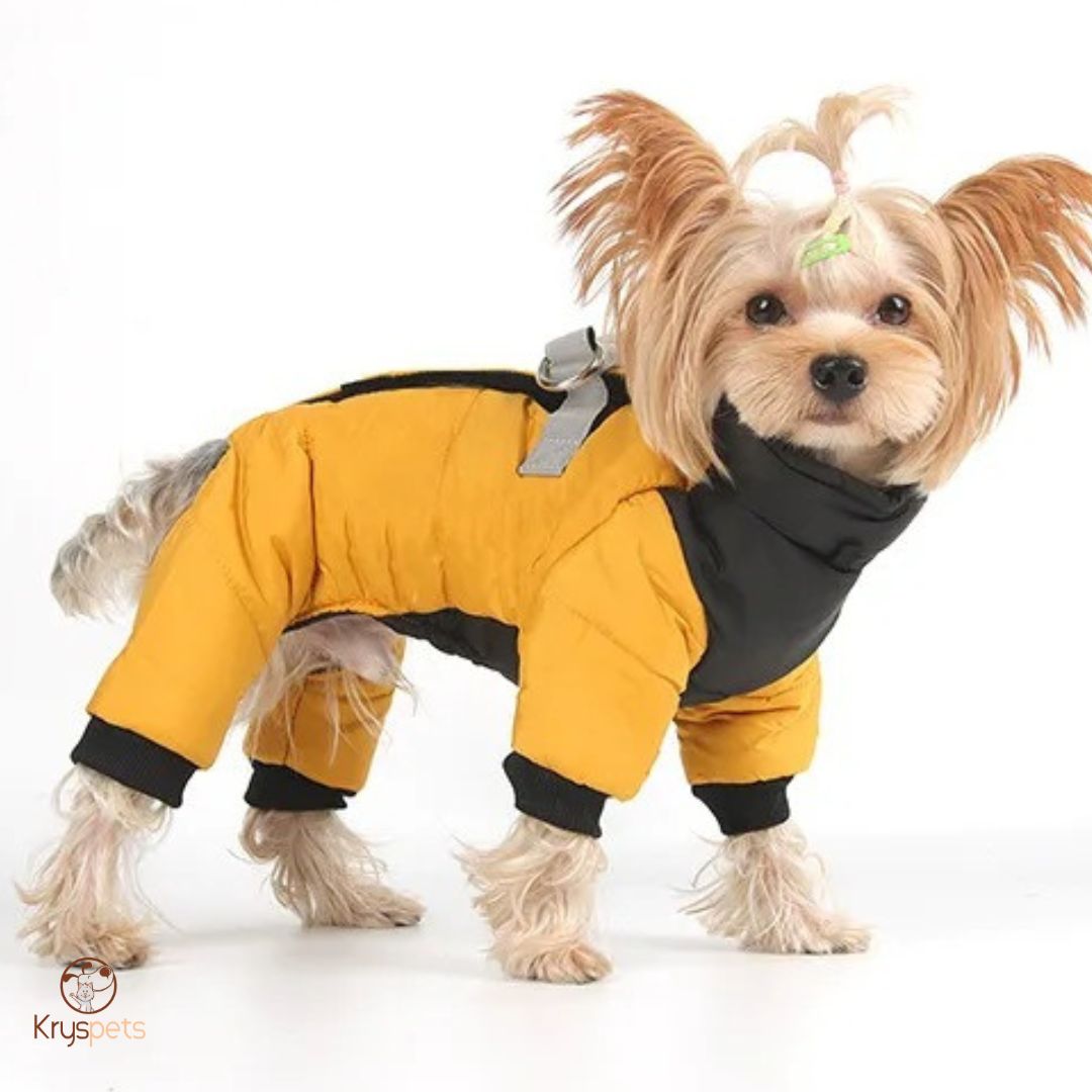 Manteau Chien - CombiDOG™