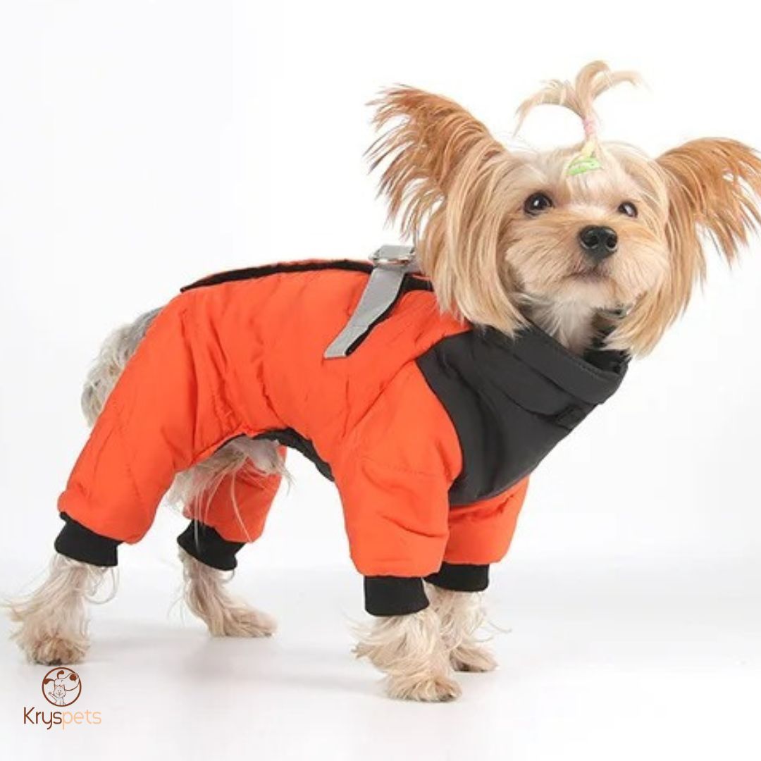 Manteau Chien - CombiDOG™