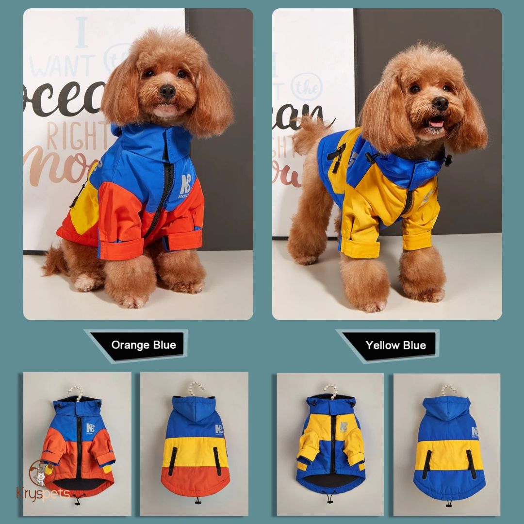 Manteau chien - DogHIVER™