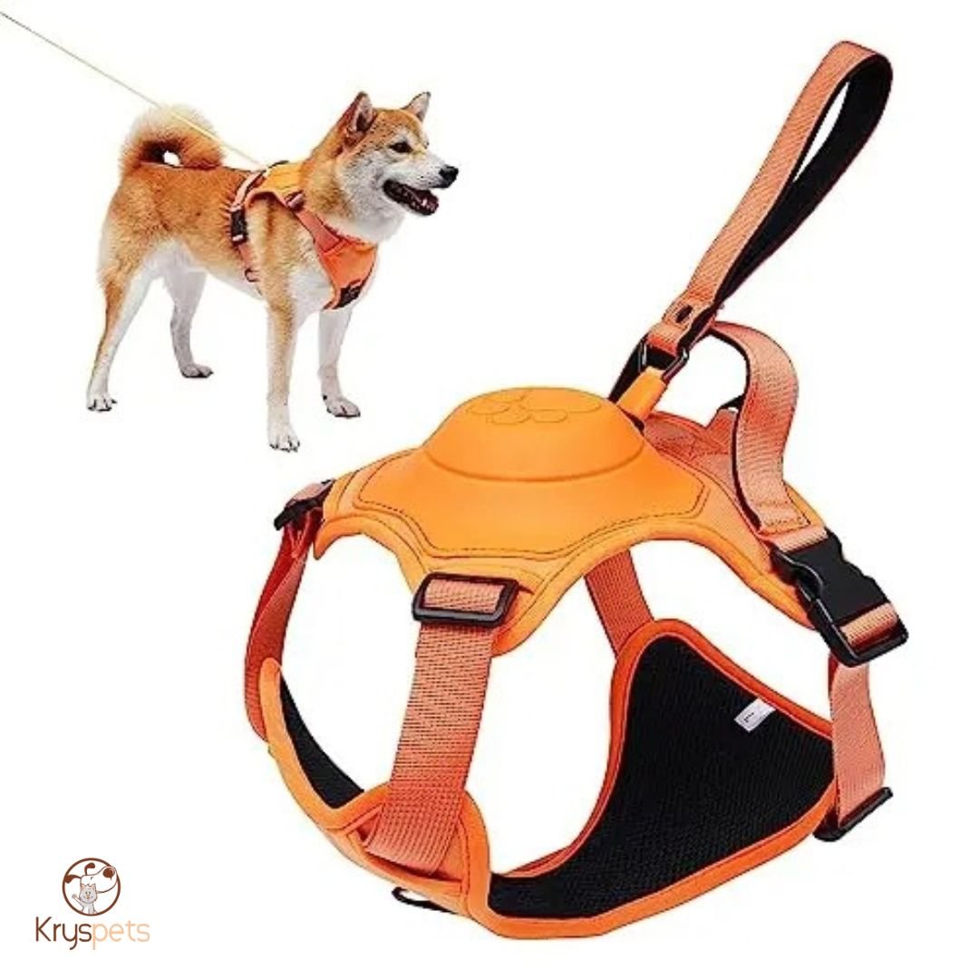 Harnais chien anti traction laisse orange