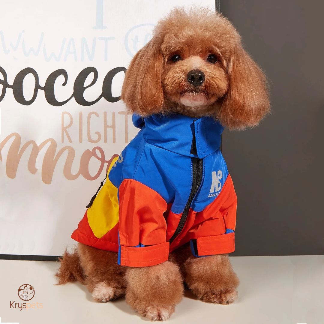 Manteau chien - DogHIVER™