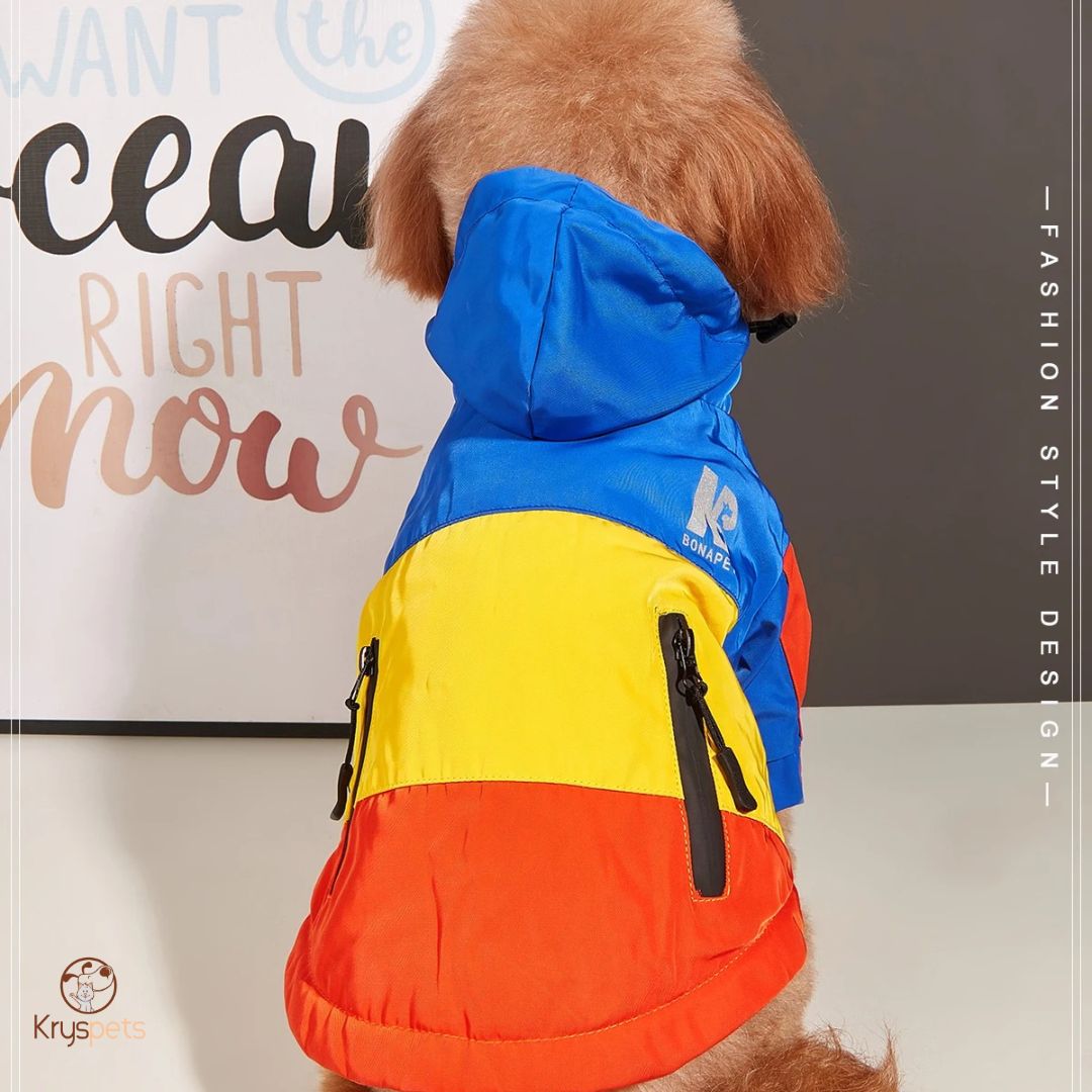 Manteau chien - DogHIVER™