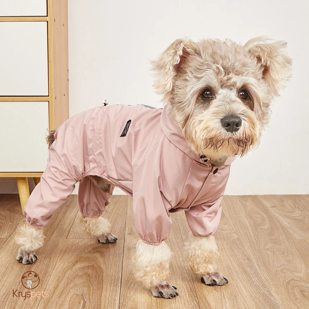 Imperméable pour chien - MiniPLUIE™