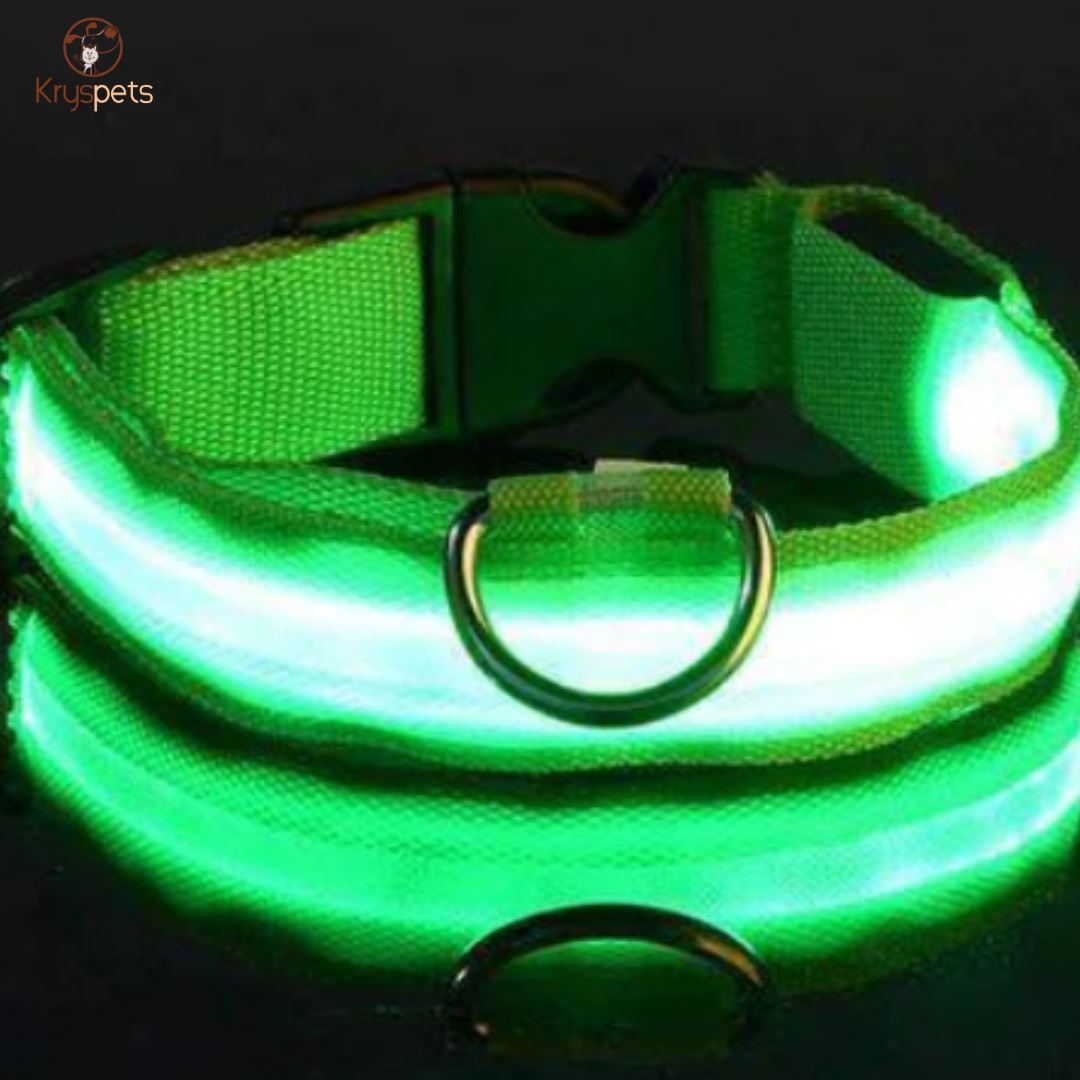 Collier lumineux pour chiens ou chats - SHINE™ - Kryspet's