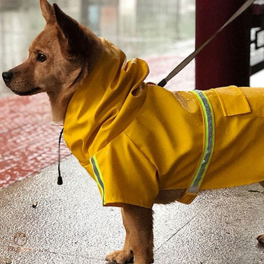 Imperméable pour chien - Kryspet's