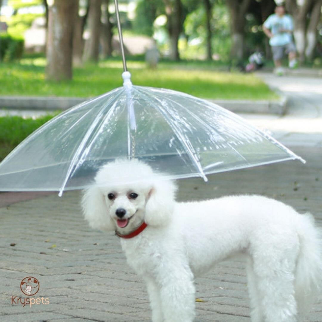 Parapluie pour chien - KrysPLUIE™