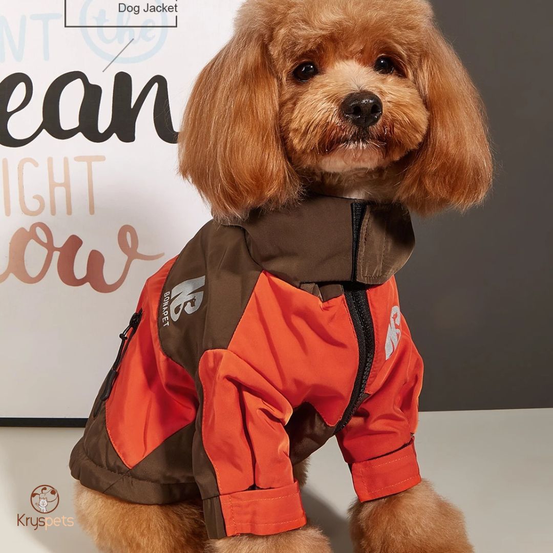 Manteau chien - DogHIVER™