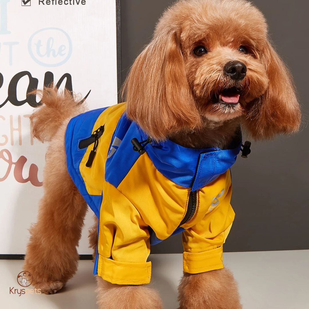 Manteau chien - DogHIVER™