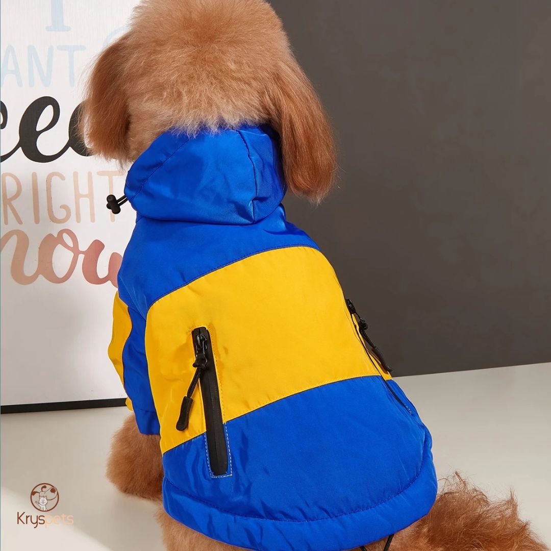 Manteau chien - DogHIVER™