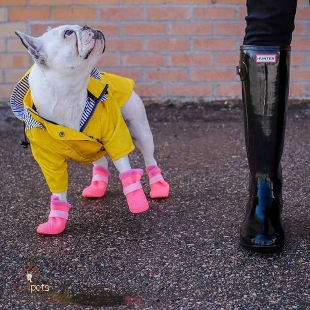 Imperméable pour chien - CoupVENT™