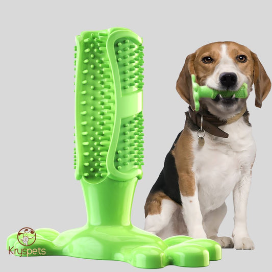 BROSSE À DENTS POUR CHIEN - KrysDENTAIRE™