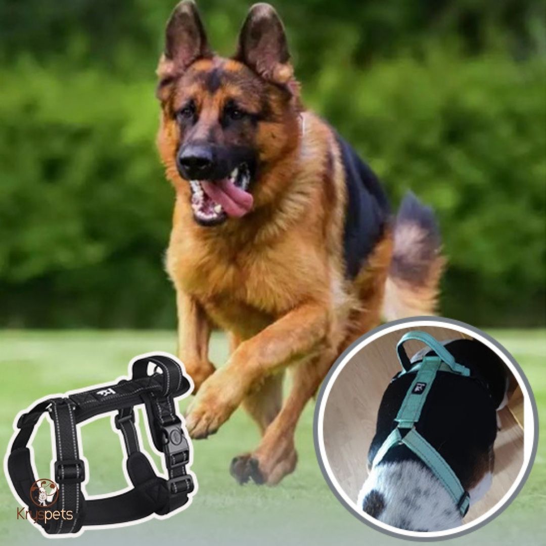 Harnais chien anti traction - ConfoDOG™