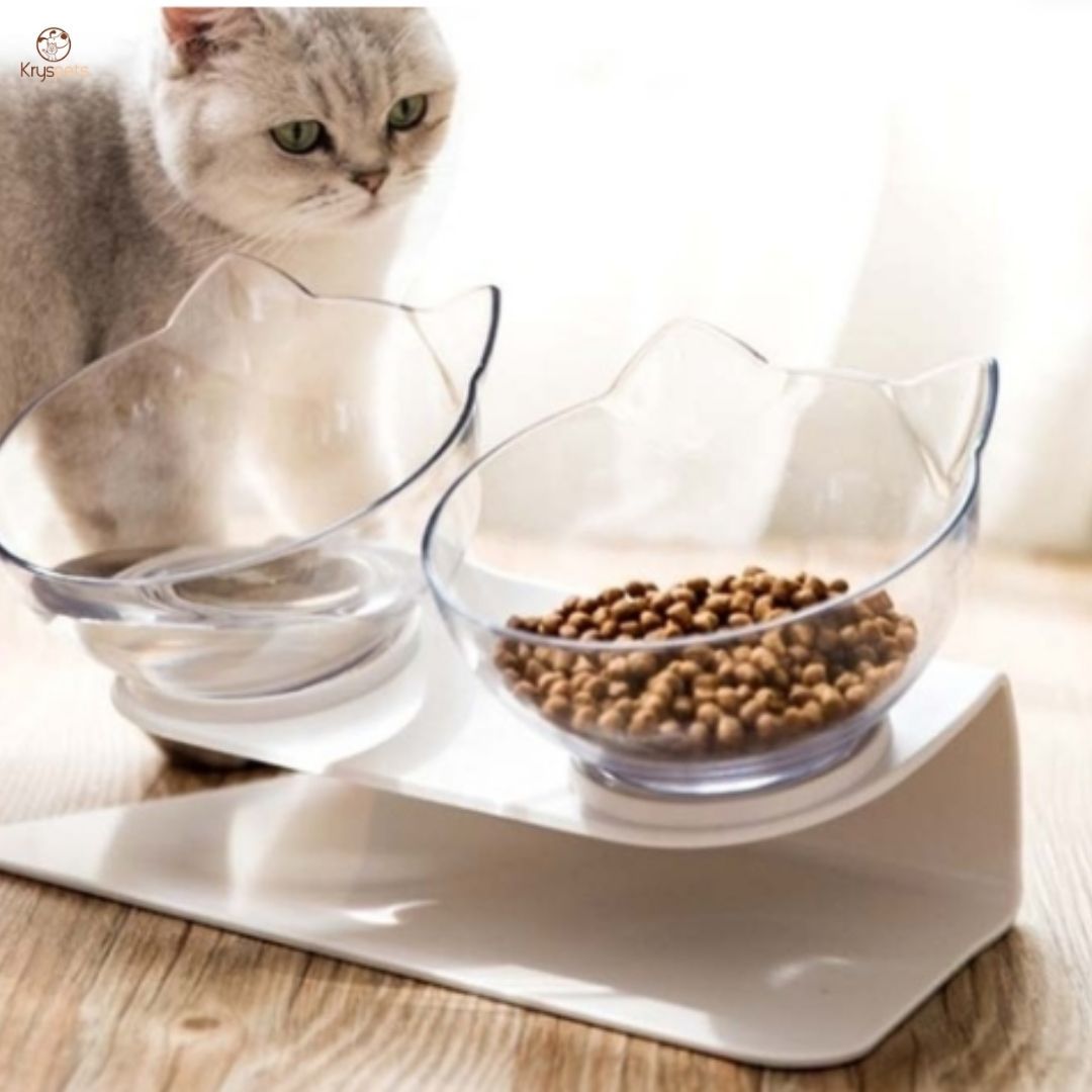 Gamelle Orthopédique pour chat - EASY LUNCH™ - Kryspet's