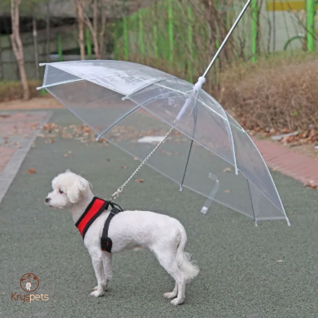 Parapluie pour chien - KrysPLUIE™