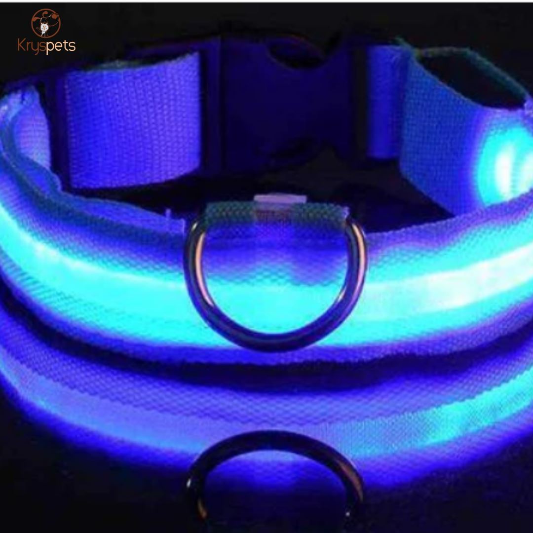 Collier lumineux pour chiens ou chats - SHINE™ - Kryspet's