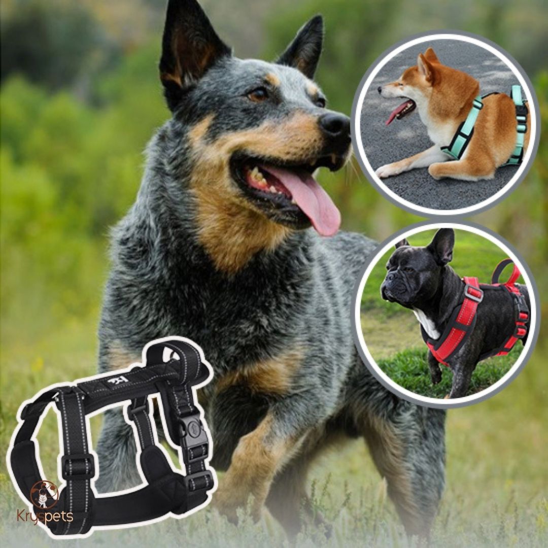 Harnais chien anti traction - ConfoDOG™