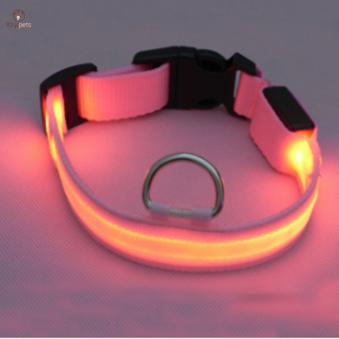 Collier lumineux pour chiens ou chats - SHINE™ - Kryspet's