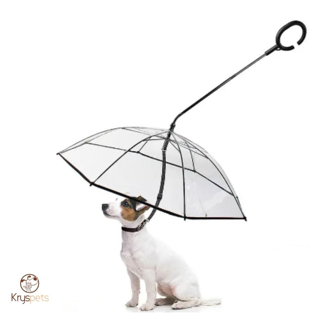 Parapluie pour chien - KrysPLUIE™