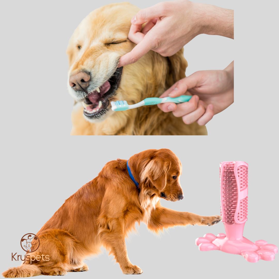 Brosse à dent chien - KrysDENTAIRE™