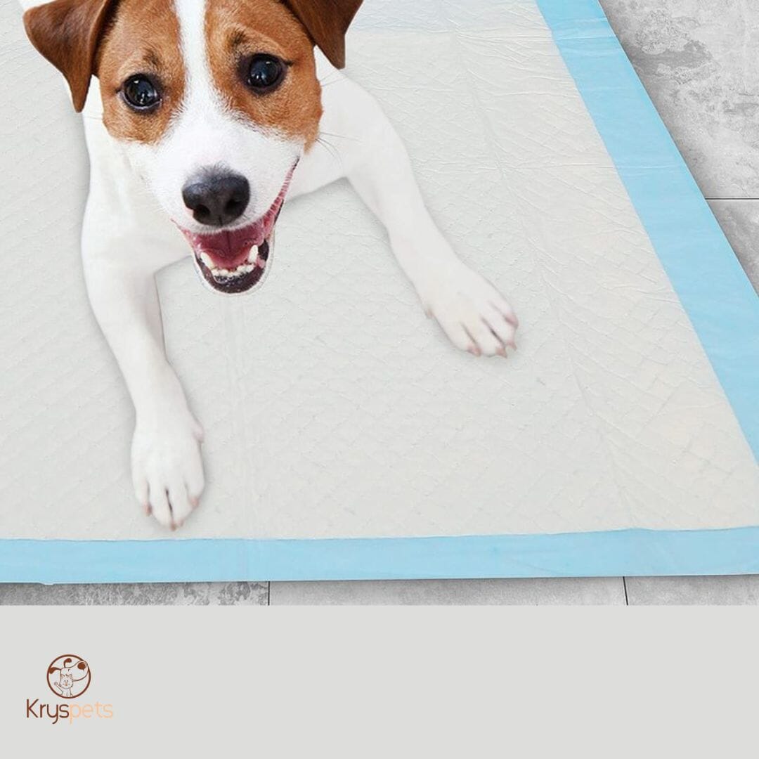Alese pour chien - tapis de dejection canine  CleanPAD™