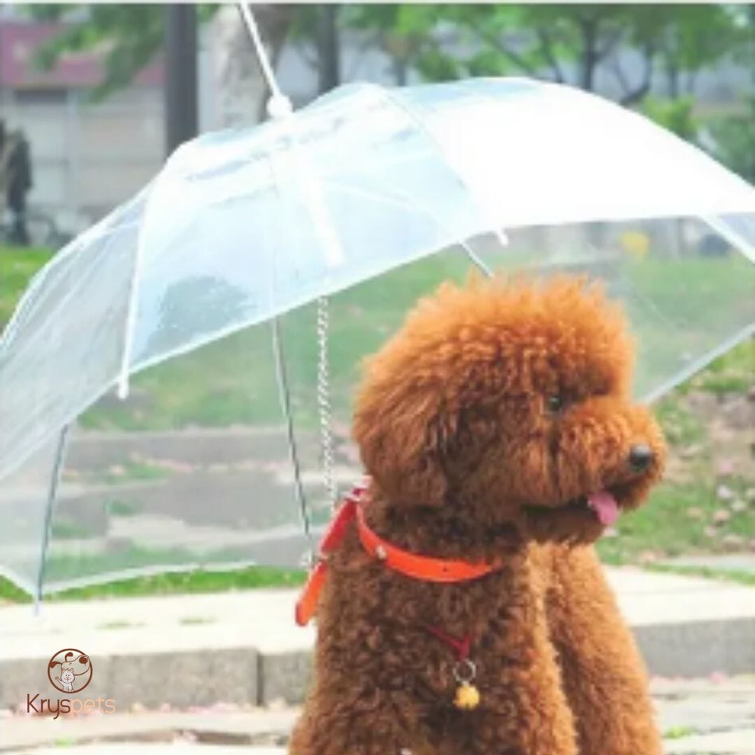 Parapluie pour chien - KrysPLUIE™