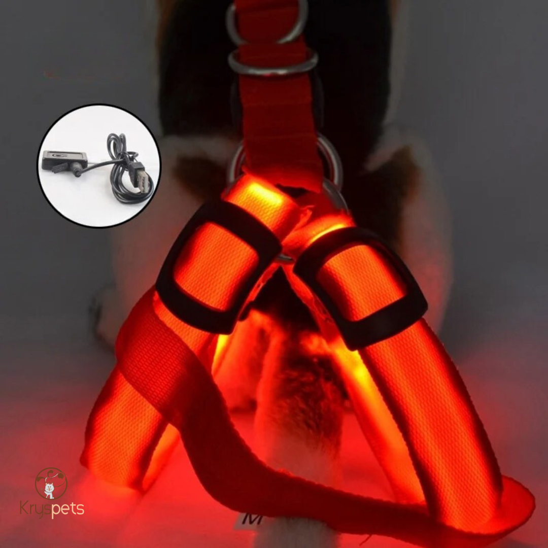 Harnais chien anti traction Lumineux- KrysLED™