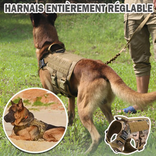 Harnais chien anti traction - CamoufleDOG™