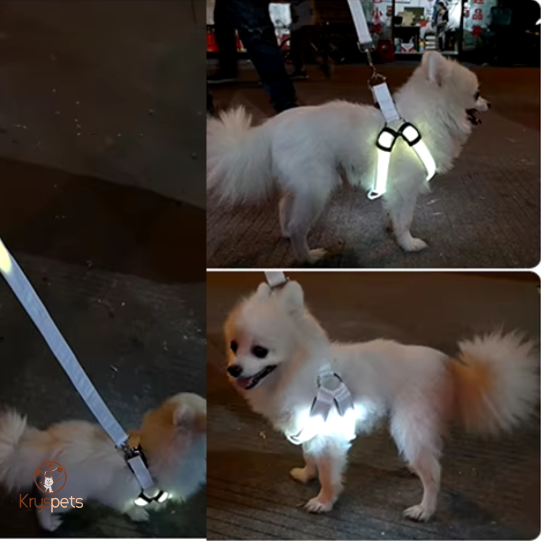 Harnais chien anti traction Lumineux- KrysLED™