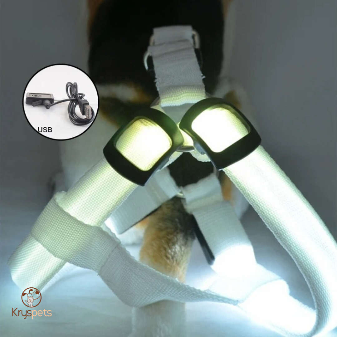 Harnais chien anti traction Lumineux- KrysLED™