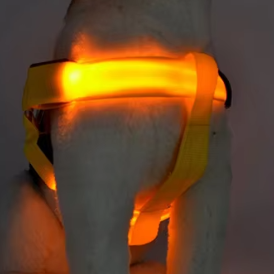 Harnais chien anti traction Lumineux- KrysLED™