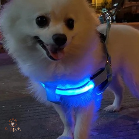 Harnais chien anti traction Lumineux- KrysLED™