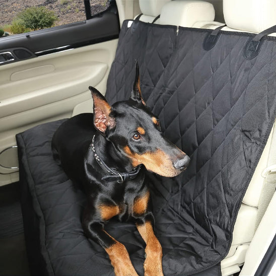 House voiture chien - CarDOG™