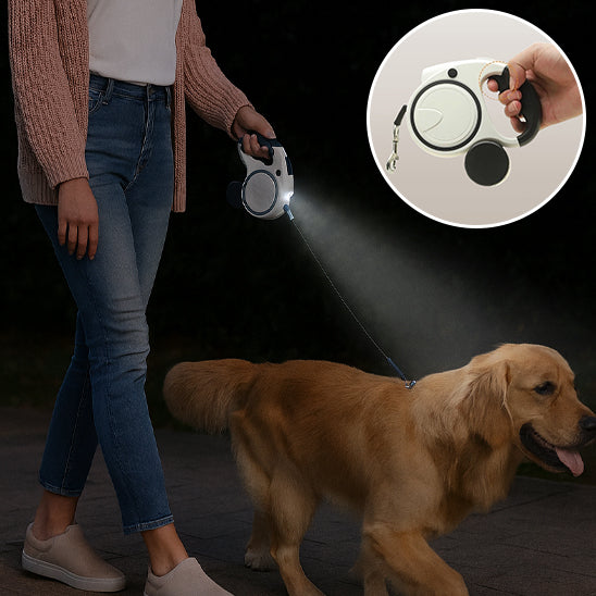 Laisse pour Chien | UltraRobust™