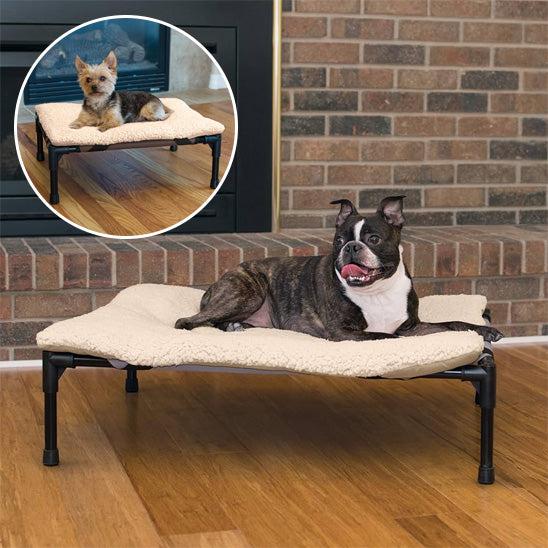 Lit pour chien - BedDOG™