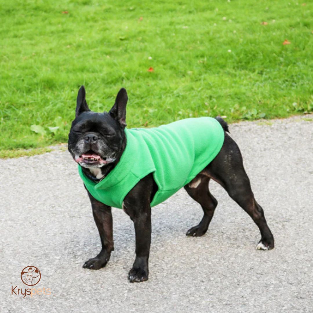 Manteau_chien_vert bulldog