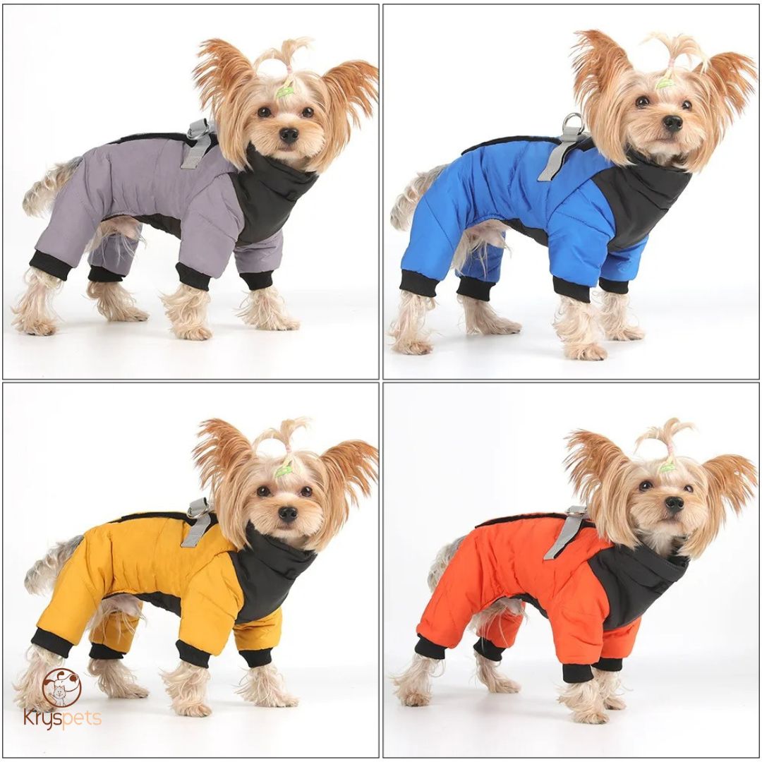 Manteau Chien - CombiDOG™