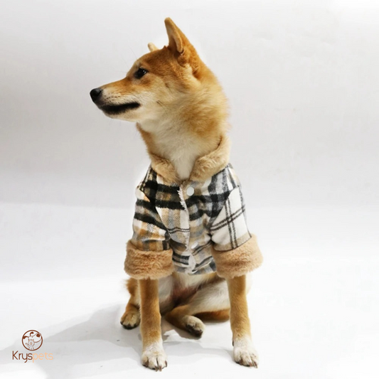 Manteau chien hiver- PetOUTFIT™