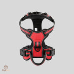 HARNAIS POUR CHIEN - HarnyDOG™