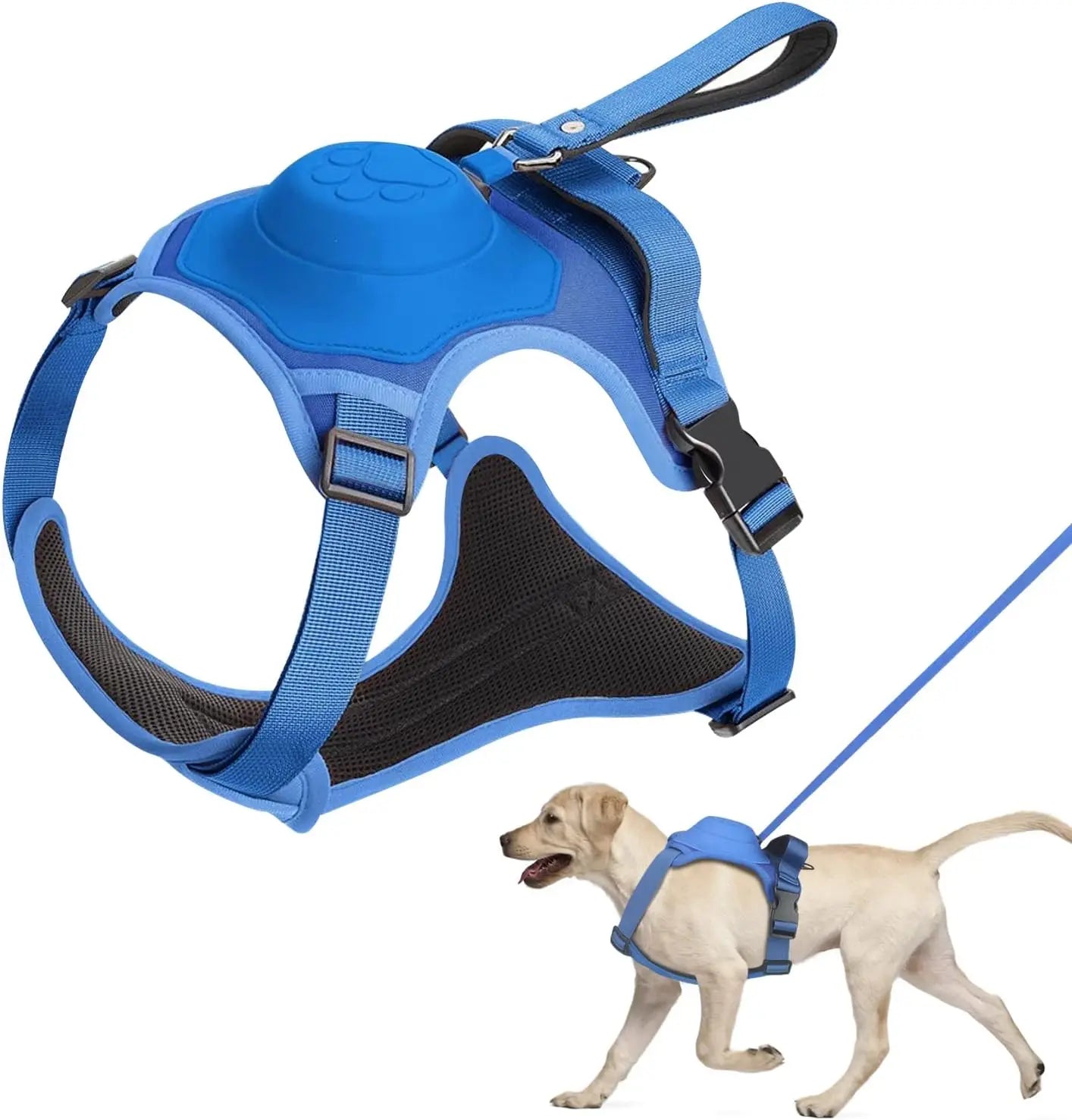 harnais chien anti traction laisse bleu