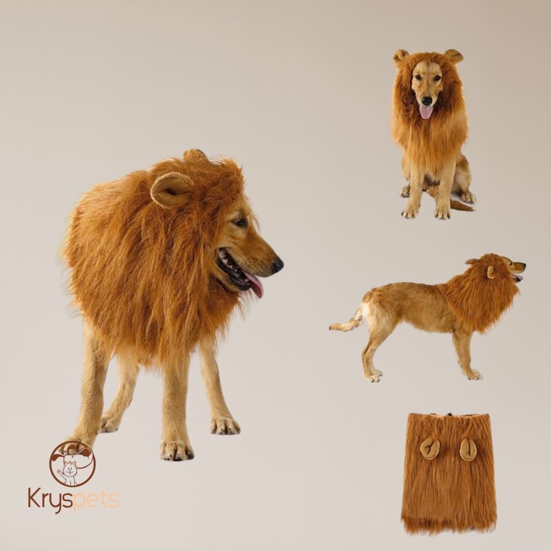 Crinière Lion- Crinière déguisement halloween pour animaux - Kryspet's