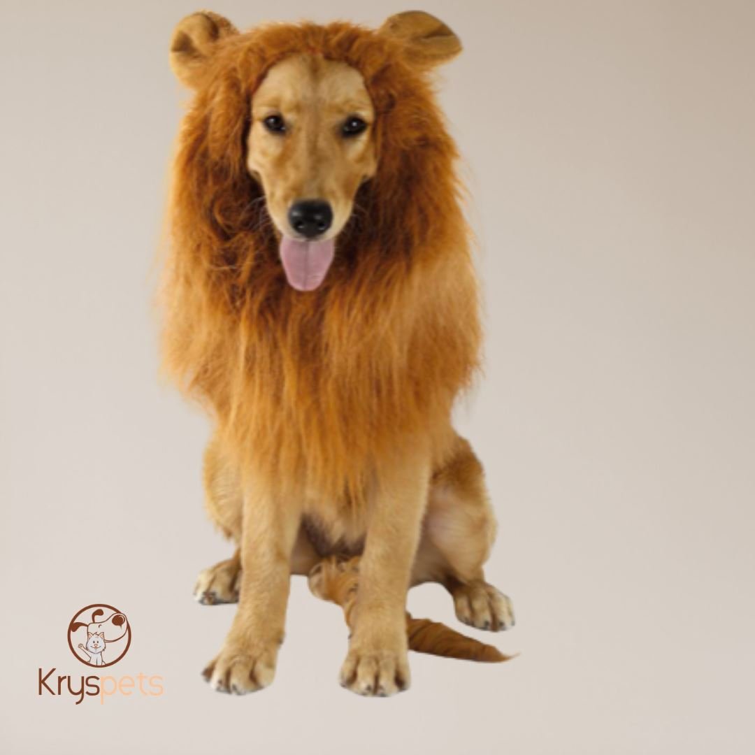 Crinière Lion- Crinière déguisement halloween pour animaux - Kryspet's