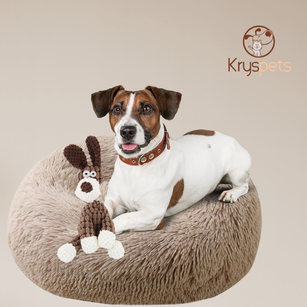 Jouet couineur pour chien - COUIN COUIN™ - Kryspet's